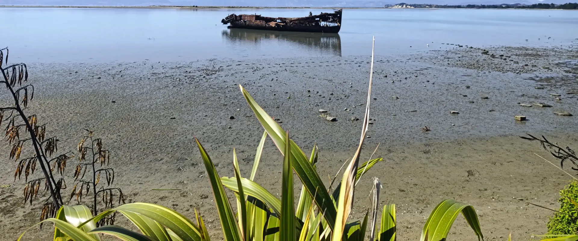 Local Tasman coastal scenery with an old wreck, Motueka