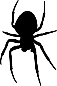 Spiders